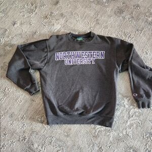 Champion Northwestern University Crewneck Sweatshirt Size Medium